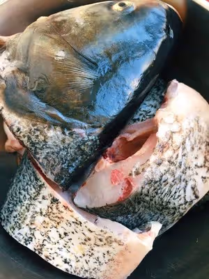 垮燉胖頭魚「家的味道」