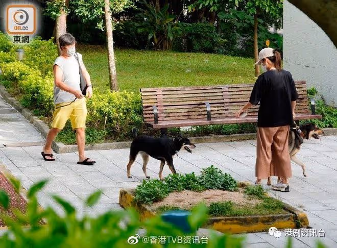 黃心穎約滿TVB恢復自由!與泥鯭蜜戀馬國明送祝福
