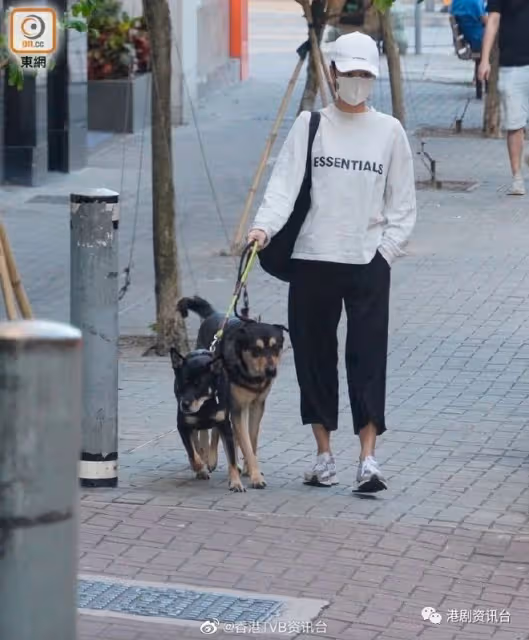 黃心穎約滿TVB恢復自由!與泥鯭蜜戀馬國明送祝福