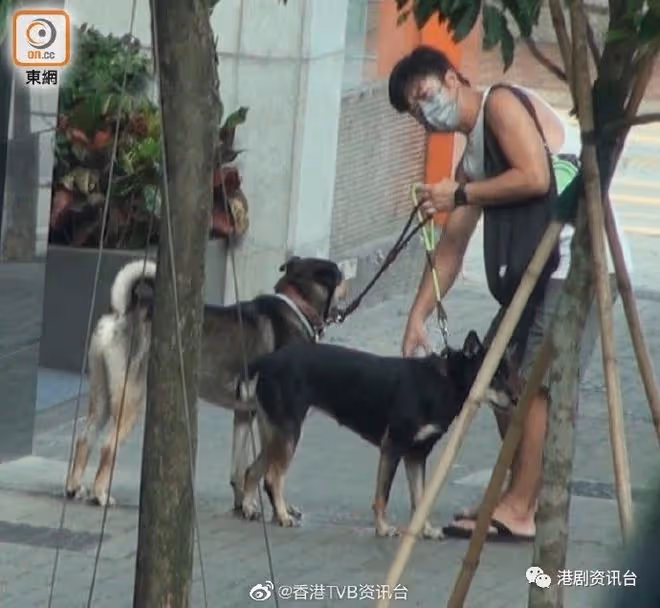 黃心穎約滿TVB恢復自由!與泥鯭蜜戀馬國明送祝福