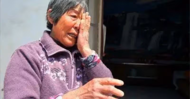 養了個白眼狼，母親拋棄了她，被奶奶養大長大後報答的卻是母親