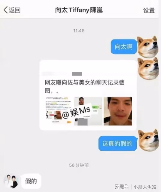 陳嵐親自火線回應,向佐出軌跟美女聊天:假的,我找律師去起訴