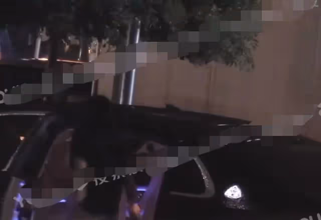 汪小菲與新歡外出聚餐,同回家心情好,曾直播痛哭稱前妻不讓見娃