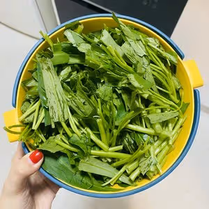 不用放鹽的腐乳炒通菜！！清脆爽口超好吃！