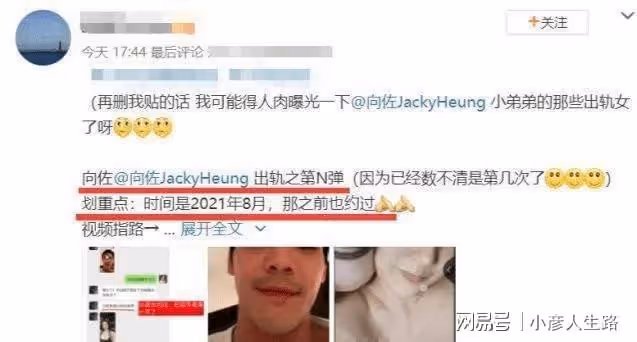 網傳向佐要演仙俠劇男主吸粉,網友發起投票,三百多人表示期待!