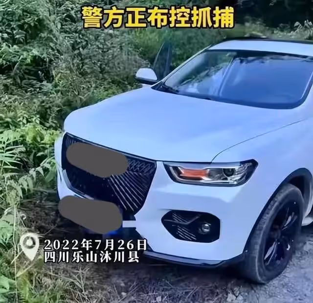 四川樂山李某槍擊案更新,村民稱山裡有果,女主丈夫是最大受害者