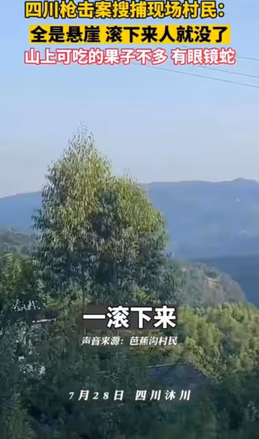 四川樂山李某槍擊案更新,村民稱山裡有果,女主丈夫是最大受害者