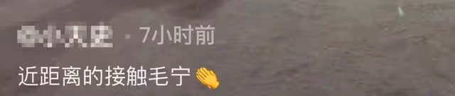 53歲毛寧現身商演撈金,身材發福似中年大叔,與富婆合影笑容滿面