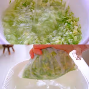 捲心菜鍋貼