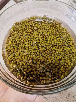 [解暑解辣必備]牛乳綠豆沙