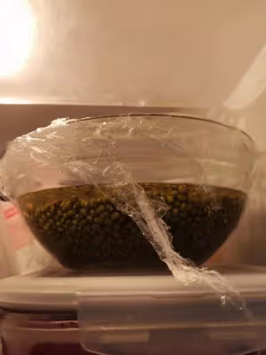 [解暑解辣必備]牛乳綠豆沙