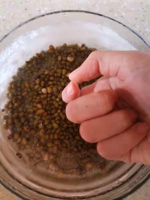 [解暑解辣必備]牛乳綠豆沙