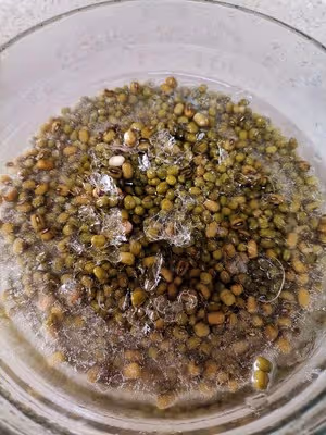 [解暑解辣必備]牛乳綠豆沙