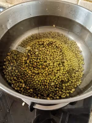 [解暑解辣必備]牛乳綠豆沙