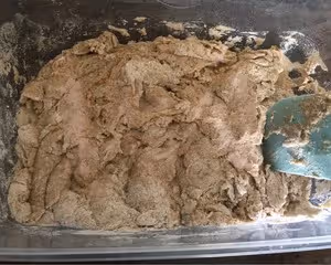 【不揉面】100%全麥拖鞋麵包（恰巴塔）