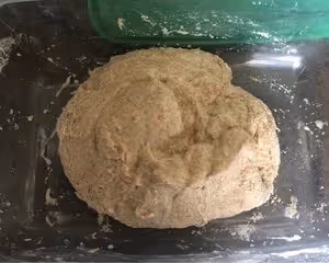 【不揉面】100%全麥拖鞋麵包（恰巴塔）