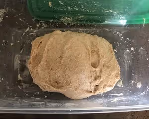 【不揉面】100%全麥拖鞋麵包（恰巴塔）