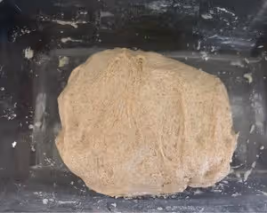【不揉面】100%全麥拖鞋麵包（恰巴塔）