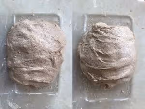 【不揉面】100%全麥拖鞋麵包（恰巴塔）