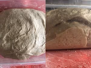 【不揉面】100%全麥拖鞋麵包（恰巴塔）