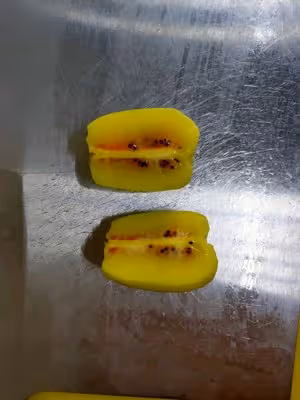 水果花