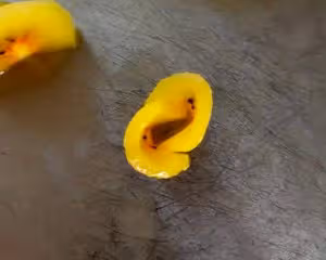 水果花