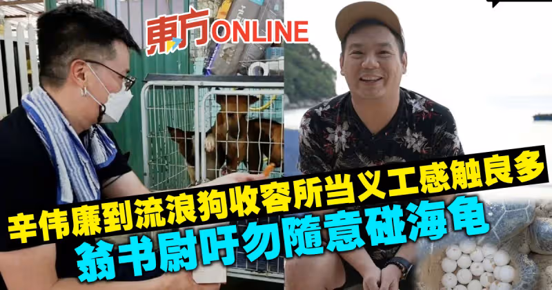 辛偉廉到流浪狗收容當義工感觸良多　翁書尉吁勿隨意碰海龜