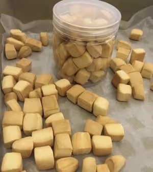 小石頭餅乾