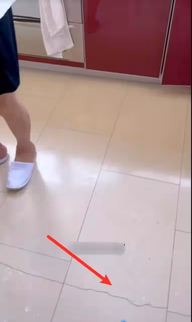房間窗戶破損，地板裂縫，董潔經濟拮据？