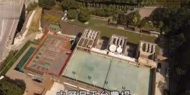 幾乎不用出門!林青霞11億豪宅曝光,裝修奢華大如皇宮,環山而居配備大型游泳池,庭院還有「仙鶴」作伴