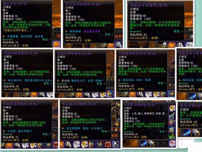 魔獸世界懷舊服最強收藏玩家,各類收藏應有盡有,為工作家庭AFK
