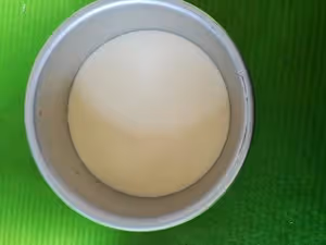 奶油奶酪版偽提拉米蘇（6寸）