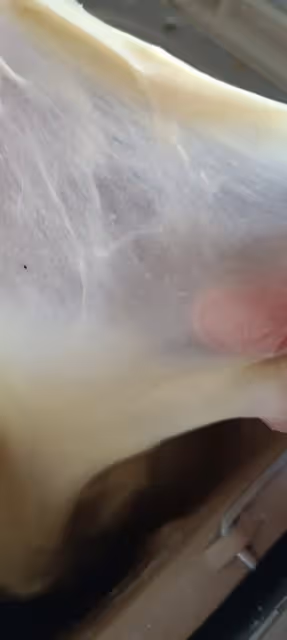 懶人版超軟手撕麵包