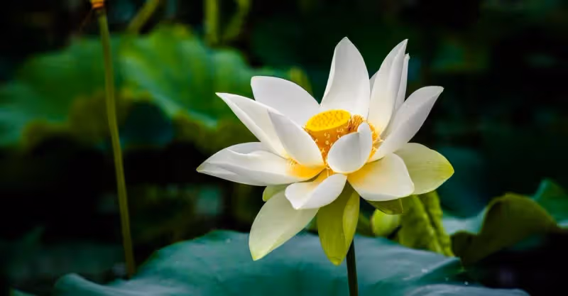 大伯欲給侄兒媳立規矩，被弟媳怒懟：想讓我兒子陪你倆兒子打光棍