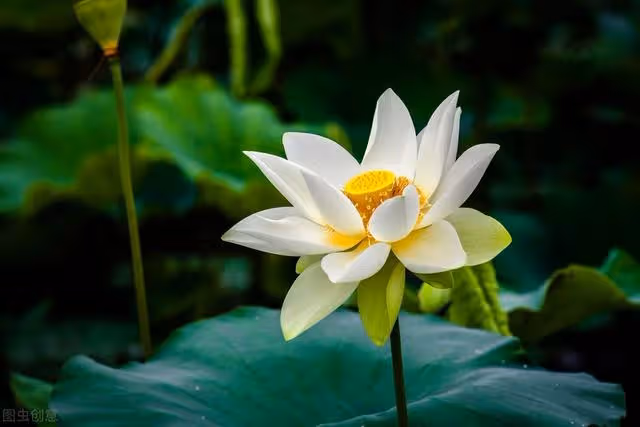 大伯欲給侄兒媳立規矩,被弟媳怒懟:想讓我兒子陪你倆兒子打光棍