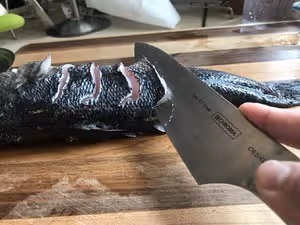 蒸魚的若干細節 （筍殼魚）Tips and Tricks for Steamed Whole Fish