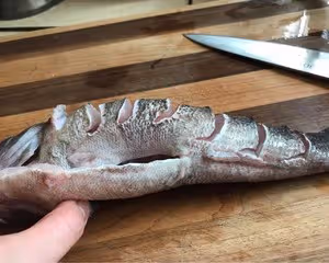 蒸魚的若干細節 （筍殼魚）Tips and Tricks for Steamed Whole Fish