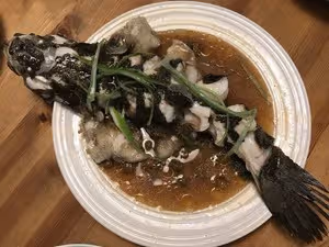 蒸魚的若干細節 （筍殼魚）Tips and Tricks for Steamed Whole Fish