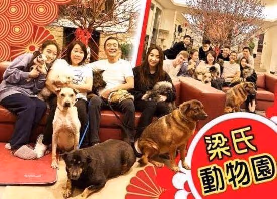 梁家輝曬出自己的豪宅!客廳正中央種臘梅樹,面積大得有點過分了,網友:真的是極盡奢侈