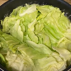 光碟也吃不夠的手撕包菜