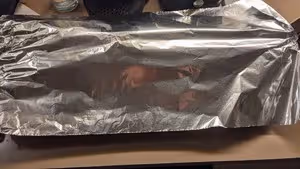 烤牛排~老外的菜譜