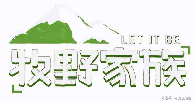 4年後,媲美《青春環遊記》的綜藝終於出現了,4位嘉賓各顯神通