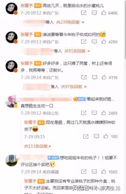 張馨予「開馨農場」大豐收!自種水蜜桃引圍觀,被贊賢惠女星代表