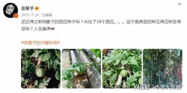 張馨予「開馨農場」大豐收!自種水蜜桃引圍觀,被贊賢惠女星代表