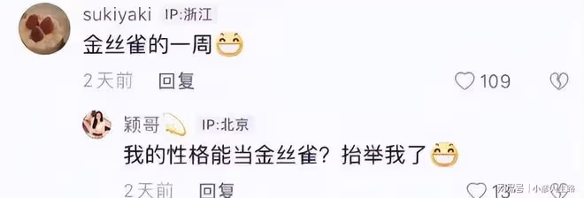 汪小菲約會被拍,張穎穎回應稱自己不是金絲雀,網友:想做正宮