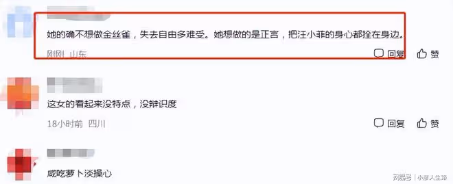 汪小菲約會被拍,張穎穎回應稱自己不是金絲雀,網友:想做正宮