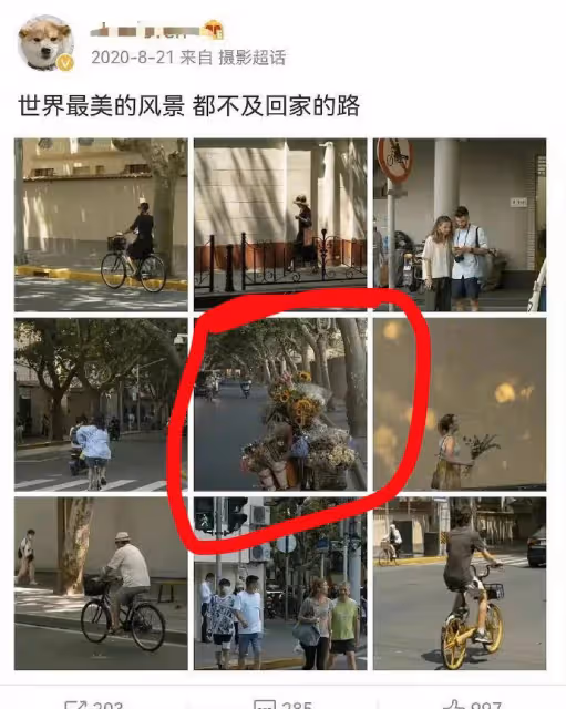 「國民妹妹」張子楓生活照盜圖被抓包　工作室急道歉：工作人員誤選圖片