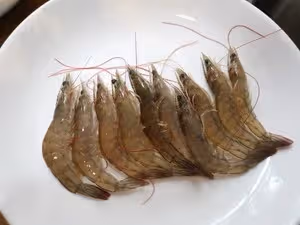 迷你消暑的冬瓜盅，清肝明目，色香味俱全