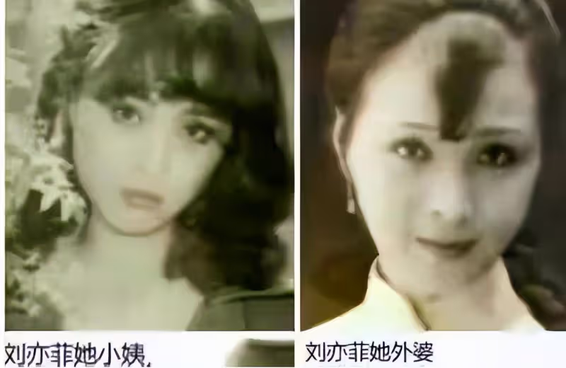 全家最丑劉亦菲 "神仙姐姐"口中的媽媽有多優秀