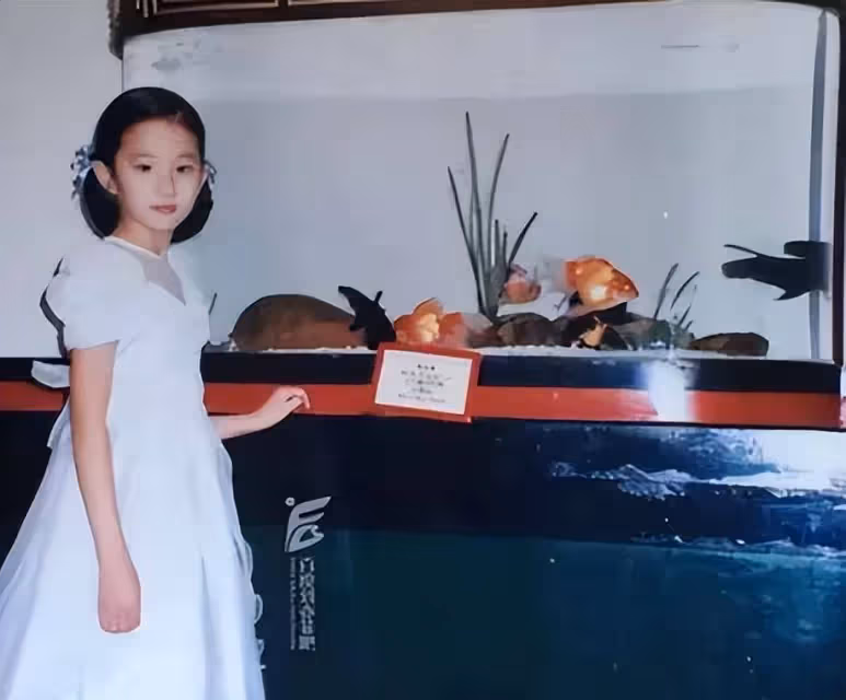 全家最丑劉亦菲 "神仙姐姐"口中的媽媽有多優秀